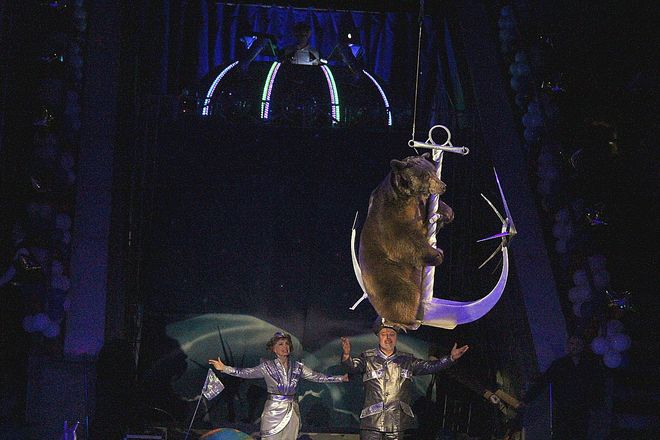Летающий медведь и &laquo;Колесо смелости&raquo;: нижегородский цирк приглашает в &laquo;Звездный круиз&raquo; (ФОТО) - фото 45