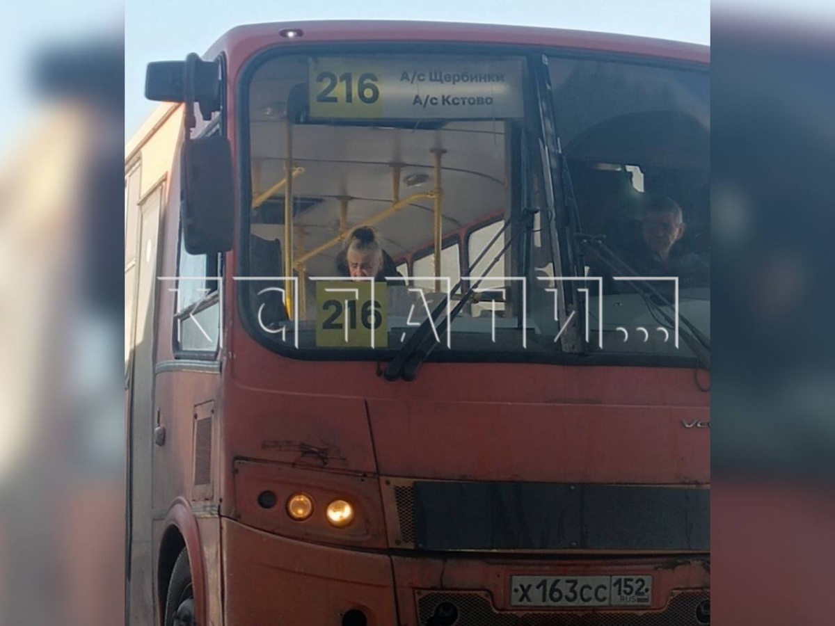 Водитель выгнал 11-летнего ребенка из автобуса в Нижнем Новгороде - фото 1