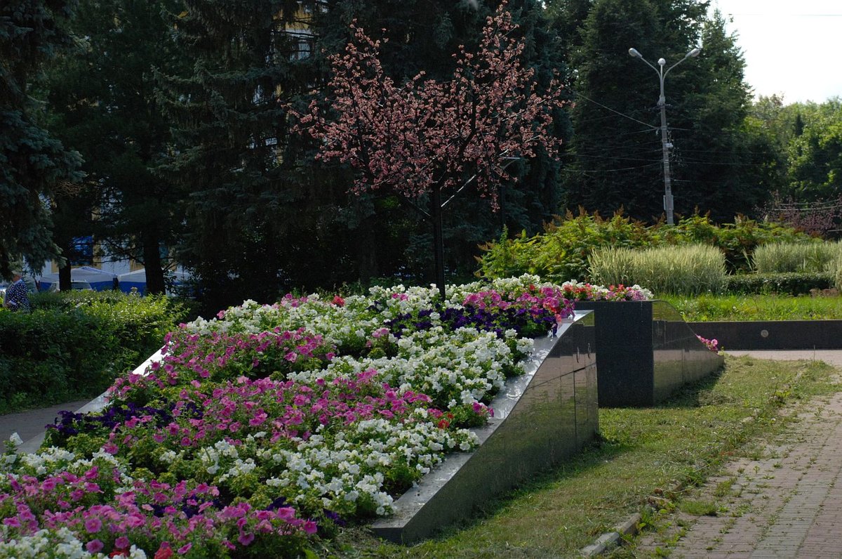 Цветы в автозаводском районе нижнего новгорода. Автозаводский парк Нижний Новгород.