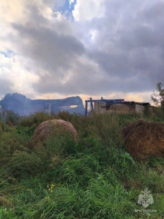 Опубликованы фото с места пожара на ферме в Большеболдинском округе - фото 3