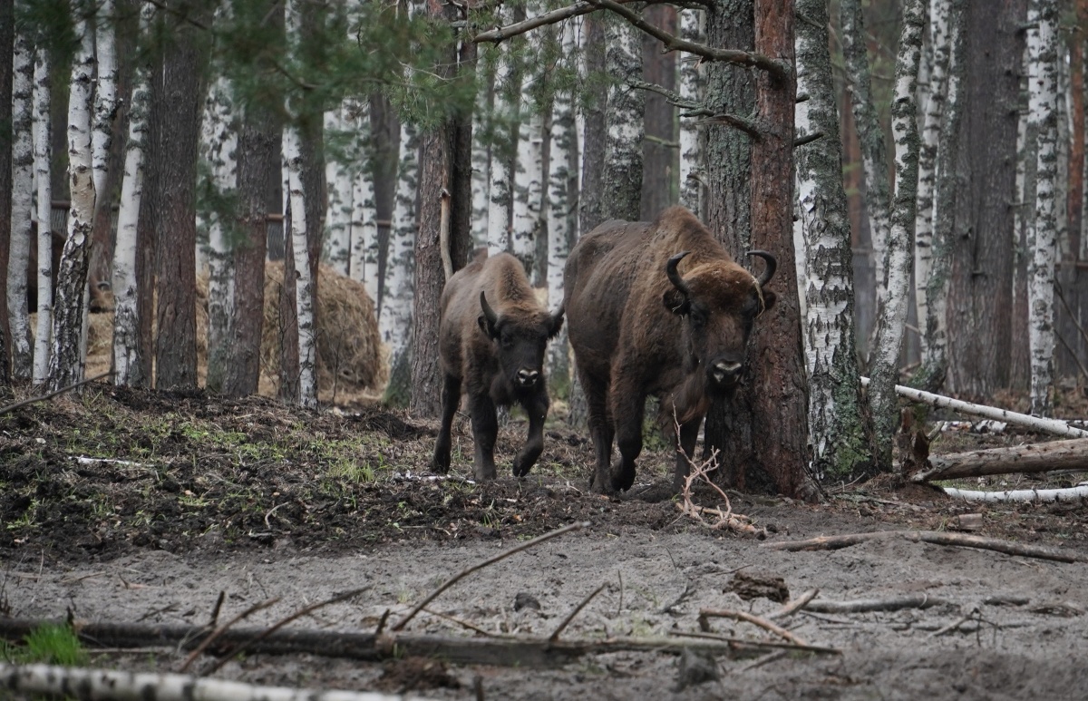Помощь 65 организациям в 13 регионах оказала &laquo;Транснефть-Верхняя Волга&raquo; - фото 3