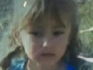 Уголовное дело по факту исчезновения 5-летней девочки возбудили нижегородские следователи  