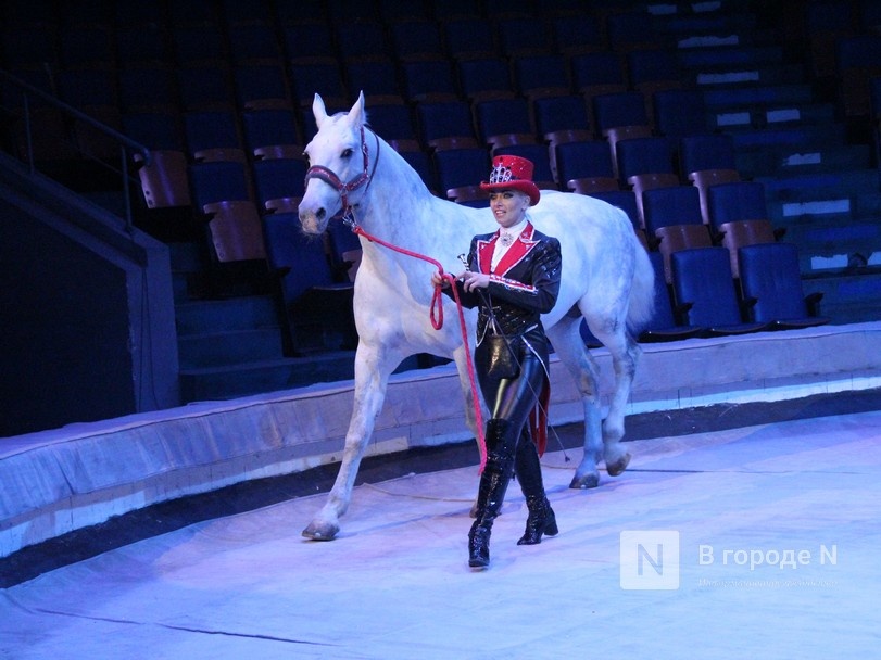 Возвращение &laquo;Бурлеска&raquo;: Нижегородский цирк открывается уникальным шоу Гии Эрадзе - фото 2