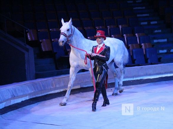 Возвращение &laquo;Бурлеска&raquo;: Нижегородский цирк открывается уникальным шоу Гии Эрадзе - фото 13