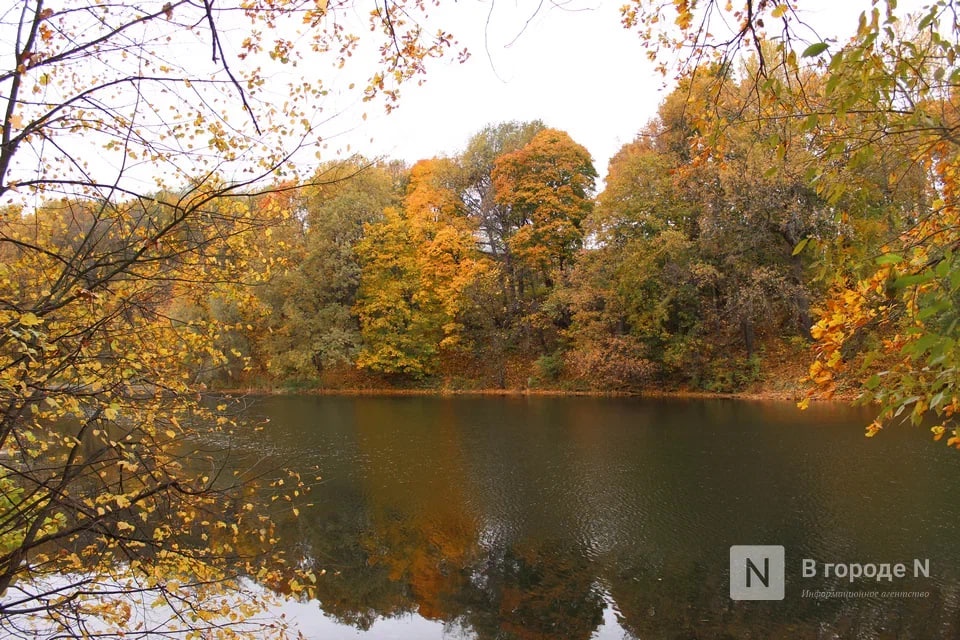 Гидрометцентр дал прогноз на сентябрь в Нижегородской области - фото 1
