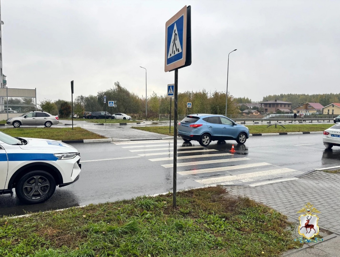 Уголовное дело возбудили в Нижнем Новгороде из-за смертельного наезда на женщину - фото 1