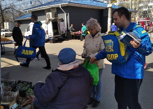 &laquo;Грядка Жириновского&raquo; : семена от ЛДПР получили несколько тысяч жителей Нижегородской области - фото 2