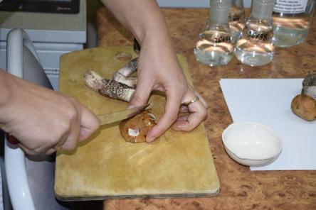 Грибной сезон без опасности: советы Роспотребнадзора для любителей &laquo;тихой охоты&raquo;