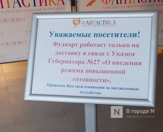 Время великих закрытий: ТЦ в Нижнем Новгороде опустели - фото 17