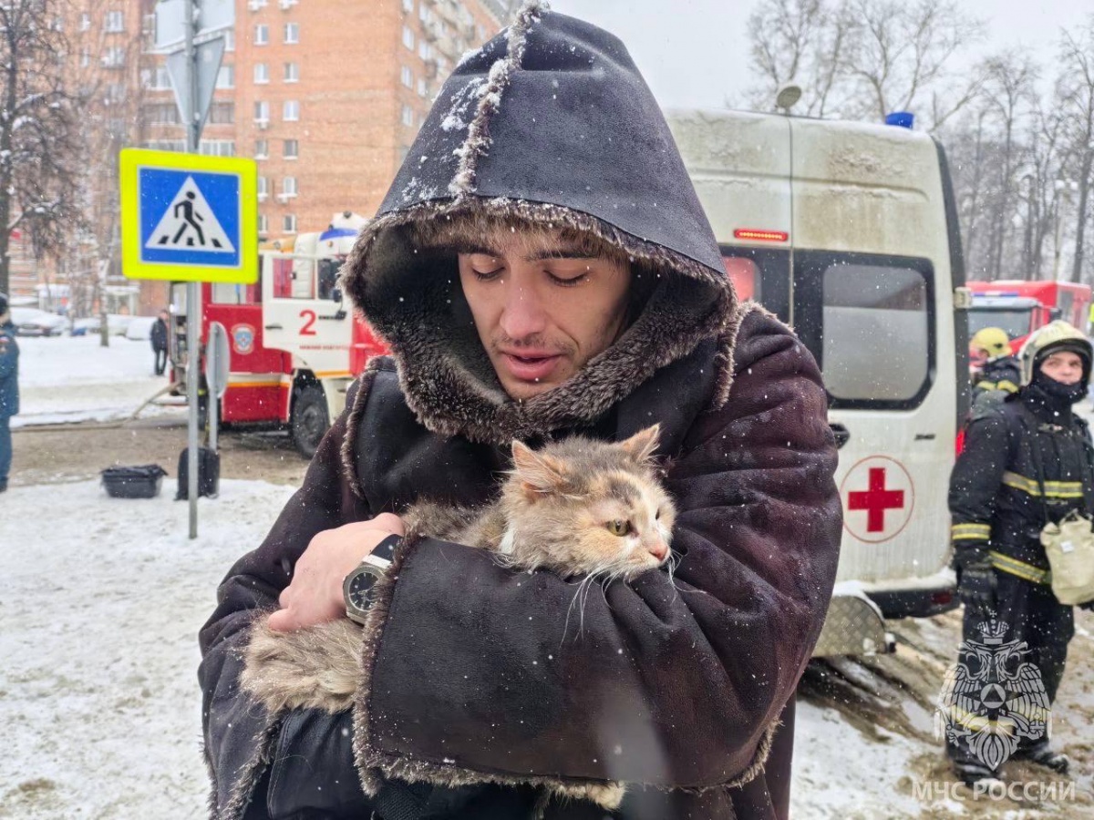 Кошку Фросю спасли на пожаре в историческом доме в центре Нижнего Новгорода - фото 2