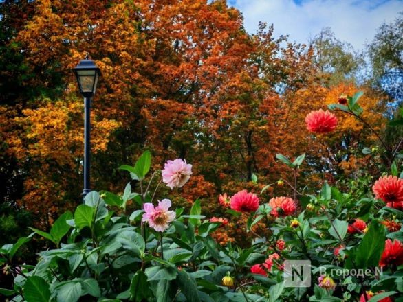 Та самая пушкинская осень: уютный фоторепортаж из Большого Болдина - фото 10