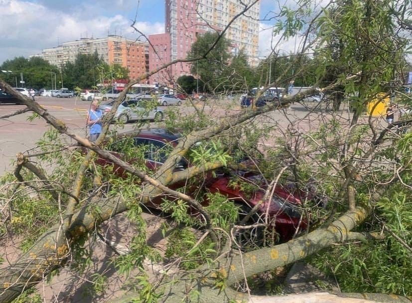 Последствия разгулявшейся стихии устраняют в Нижегородской области - фото 1