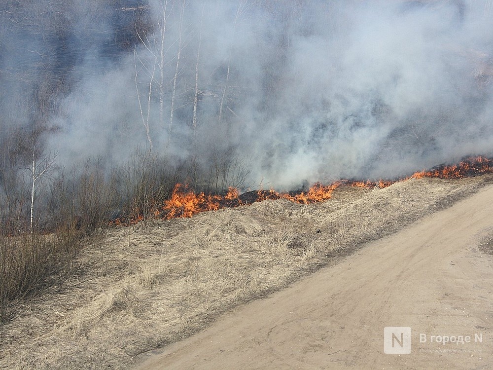 Высокая пожароопасность лесов сохранится в Нижегородской области до 29 июня - фото 1