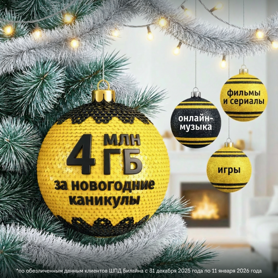 Жители Нижегородской области в числе регионов, где в новогоднюю ночь активно пользовались домашним интернетом Билайна - фото 1