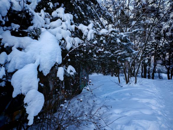 Аномальные морозы в Нижнем Новгороде: фоторепортаж из заснеженных парков - фото 45