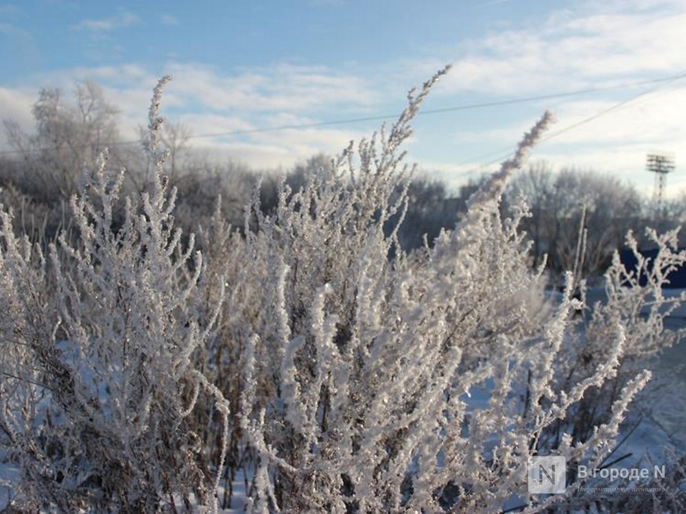 Сильные морозы до -23 &deg;C ожидаются в Нижнем Новгороде - фото 1