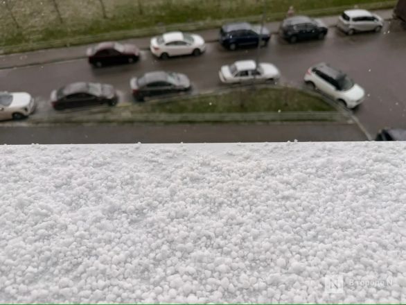 Град и снег выпали в Нижнем Новгороде 25 апреля: фото - фото 2