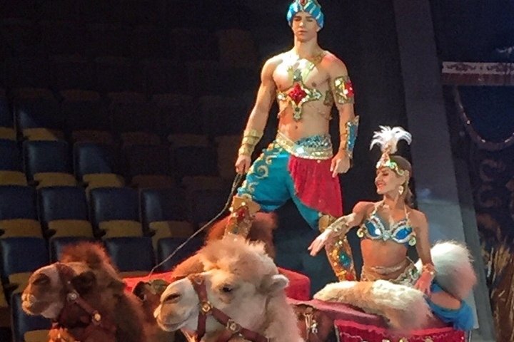 Победители &laquo;Минуты славы&raquo; на Первом исполняют трюки на верблюдах в новом шоу Гии Эрадзе &laquo;5 континентов&raquo; - фото 3