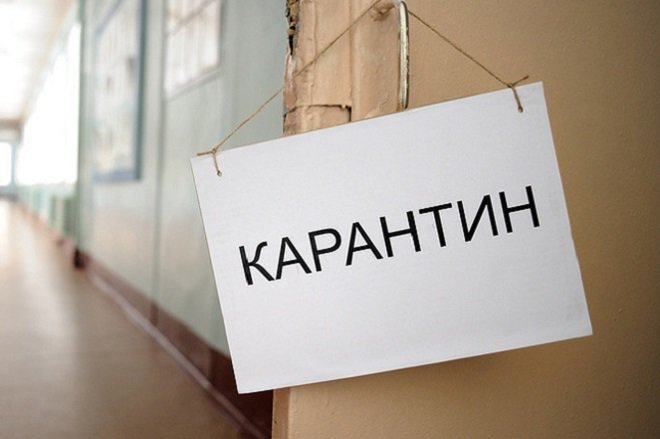 Почти три десятка школ и детсадов Нижегородской области закрыты на карантин по гриппу и ОРВИ - фото 1