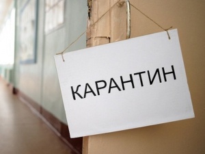 Почти три десятка школ и детсадов Нижегородской области закрыты на карантин по гриппу и ОРВИ