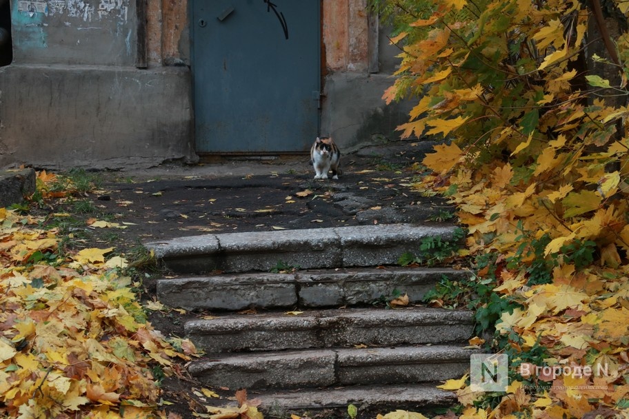 &laquo;Просто существуем&raquo;. Как нижегородцы живут в жутких бараках в районе Бекетова &mdash; фоторепортаж - фото 33