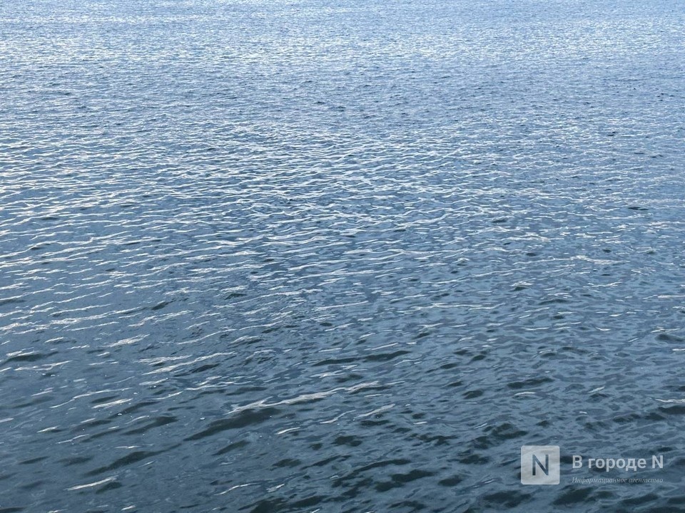 Гибель мужчин в нижегородских водоемах закончилась проверкой СК - фото 1