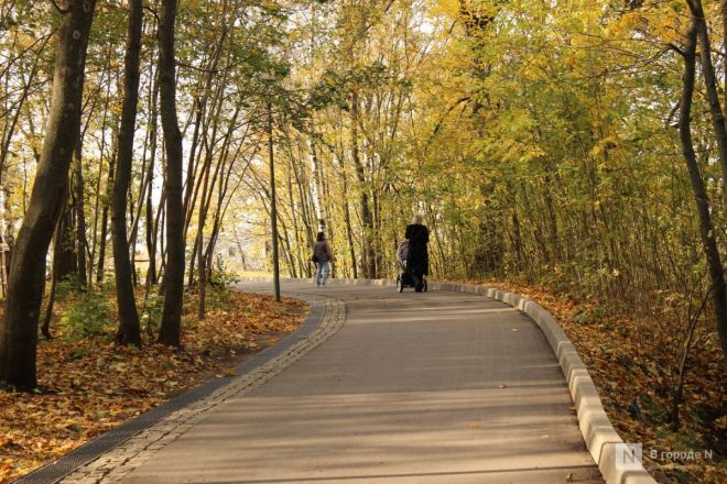 Фоторепортаж: золотая осень в Нижнем Новгороде - фото 36