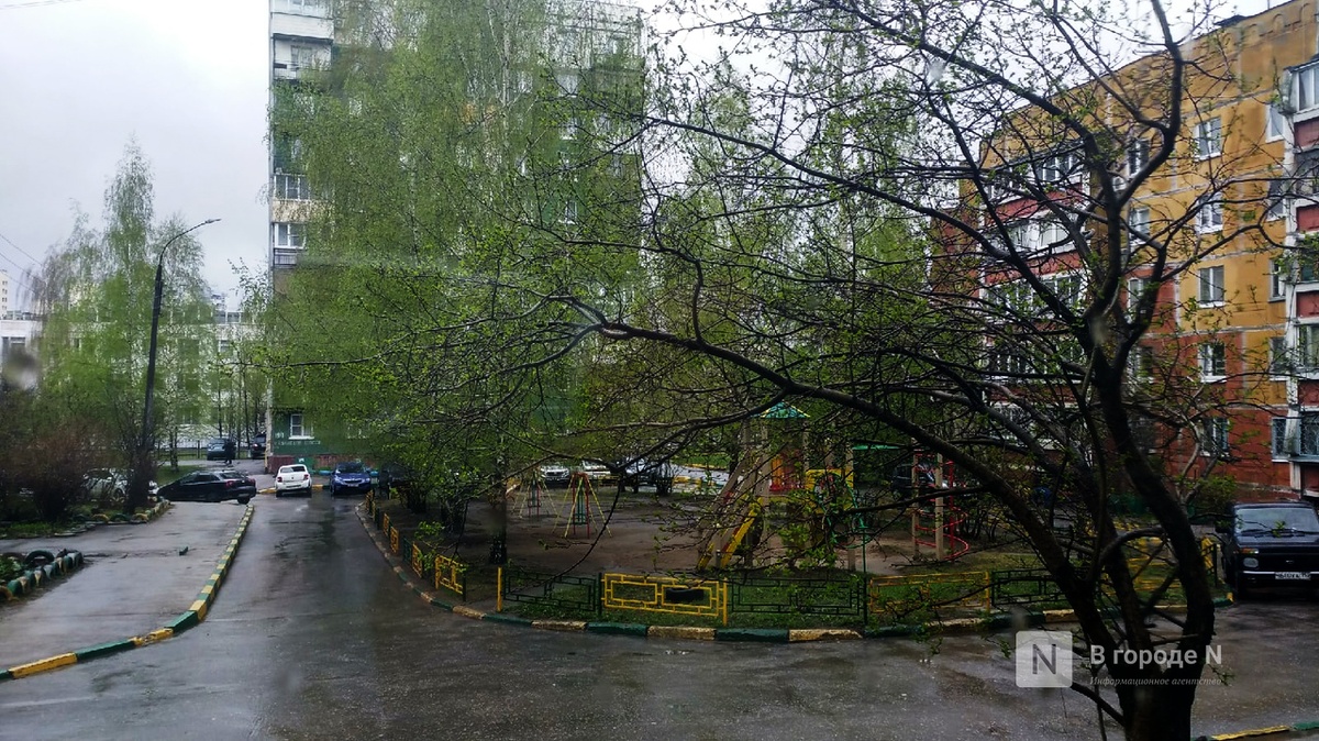 Дожди и +19С˚ ожидаются на этой короткой рабочей неделе в Нижегородской области - фото 1