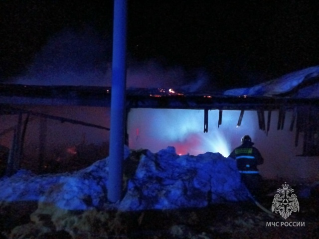Крупный пожар случился на пилораме в Нижегородской области - фото 1