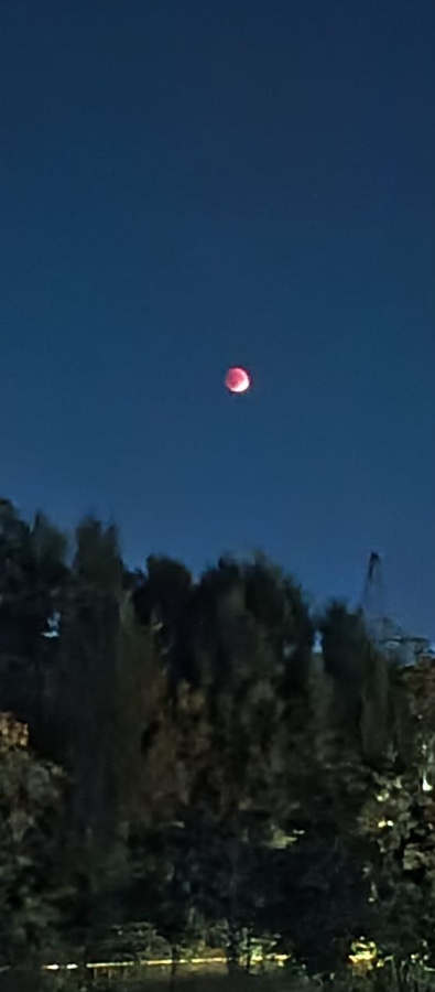 Жители Нижнего Новгорода делятся фотографиями лунного затмения - фото 3