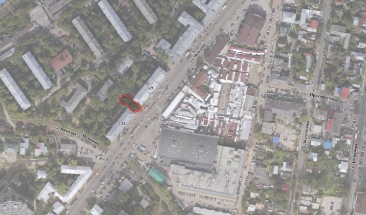 Охранные зоны установили вокруг трех вековых тополей в Нижнем Новгороде - фото 1