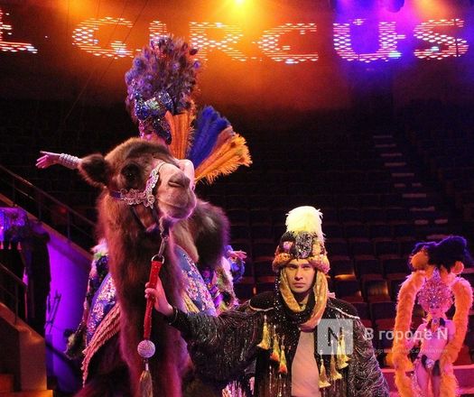 &laquo;Песчаную сказку&raquo; Гии Эрадзе покажут в нижегородском цирке - фото 37