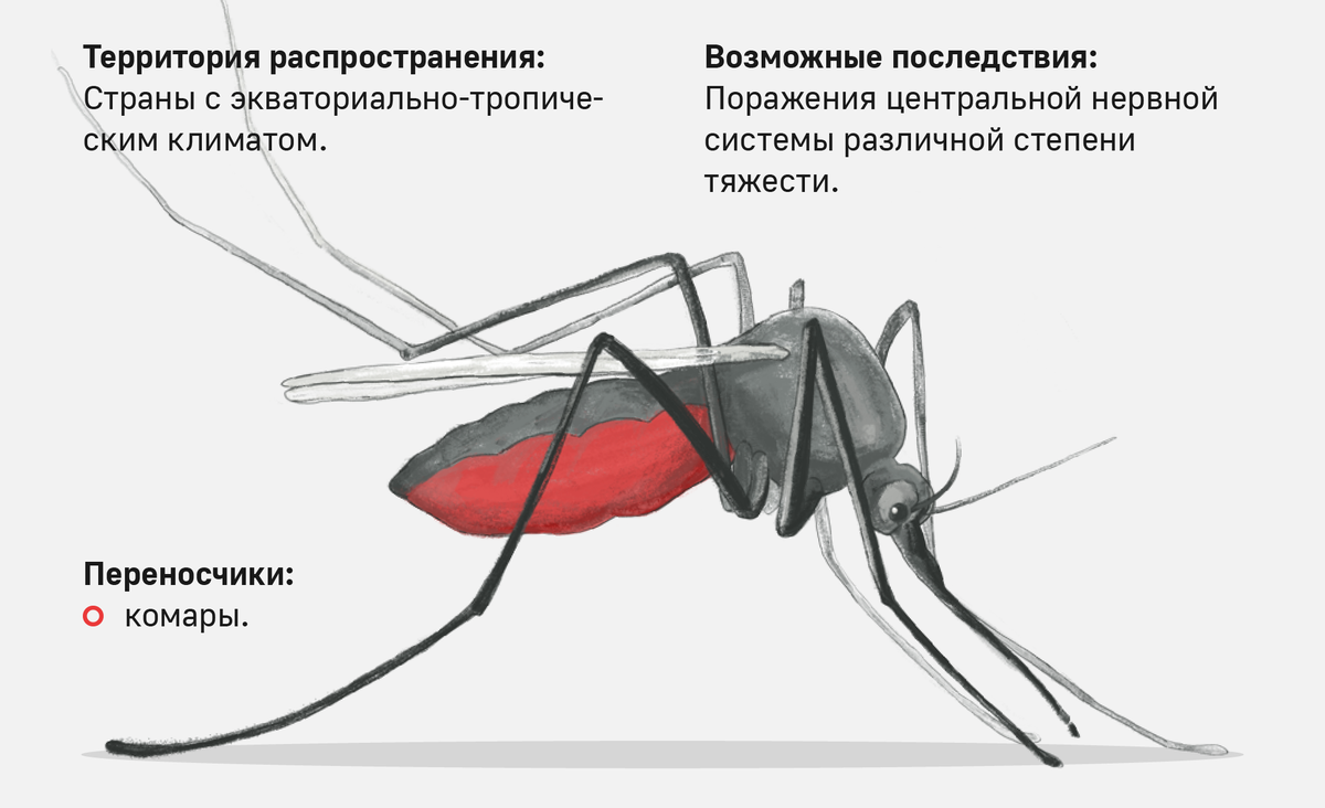 Нижегородцам напомнили о заболевания, передающихся при укусах комаров - фото 1