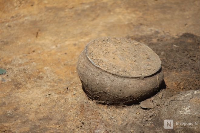 Могилы коней и старинные монеты: фоторепортаж с археологических раскопок в Нижегородской области - фото 137