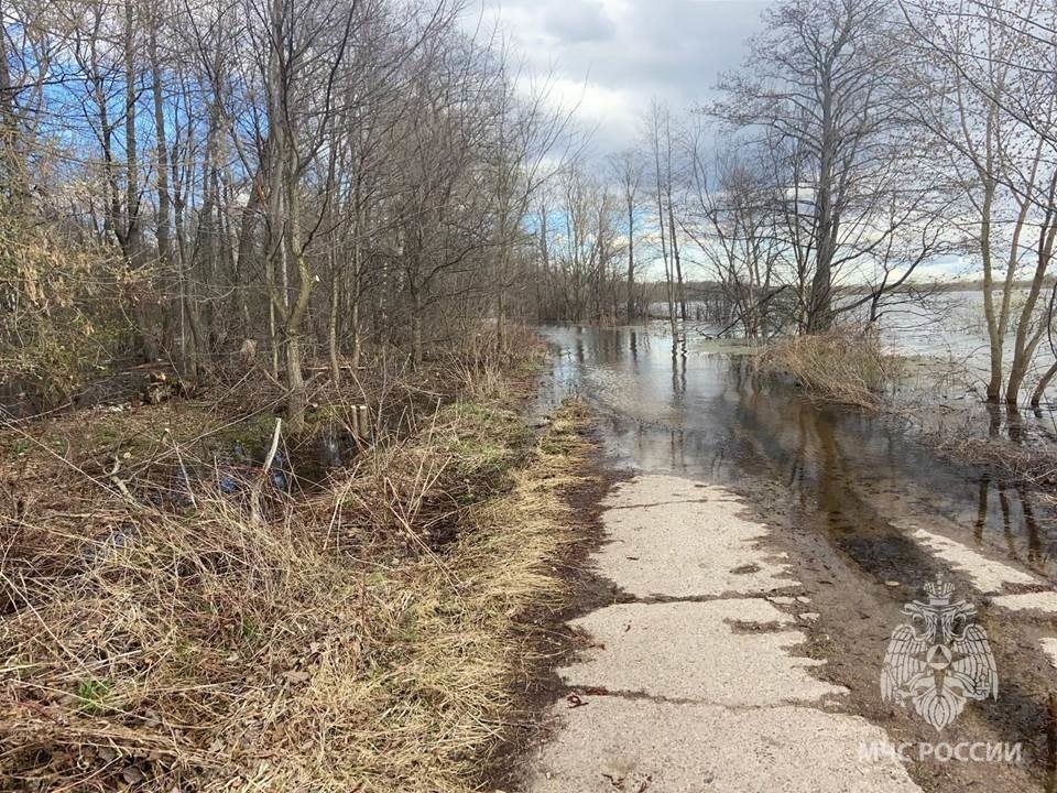 Две дороги затопило в Нижегородской области 15 апреля