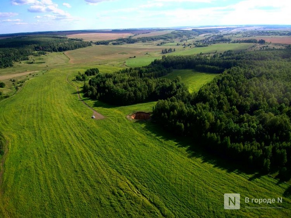 Первый национальный парк создадут в Нижегородской области