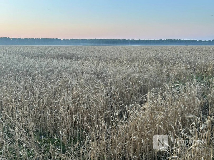 Очередной поселок исчезнет с карты Нижегородской области - фото 1