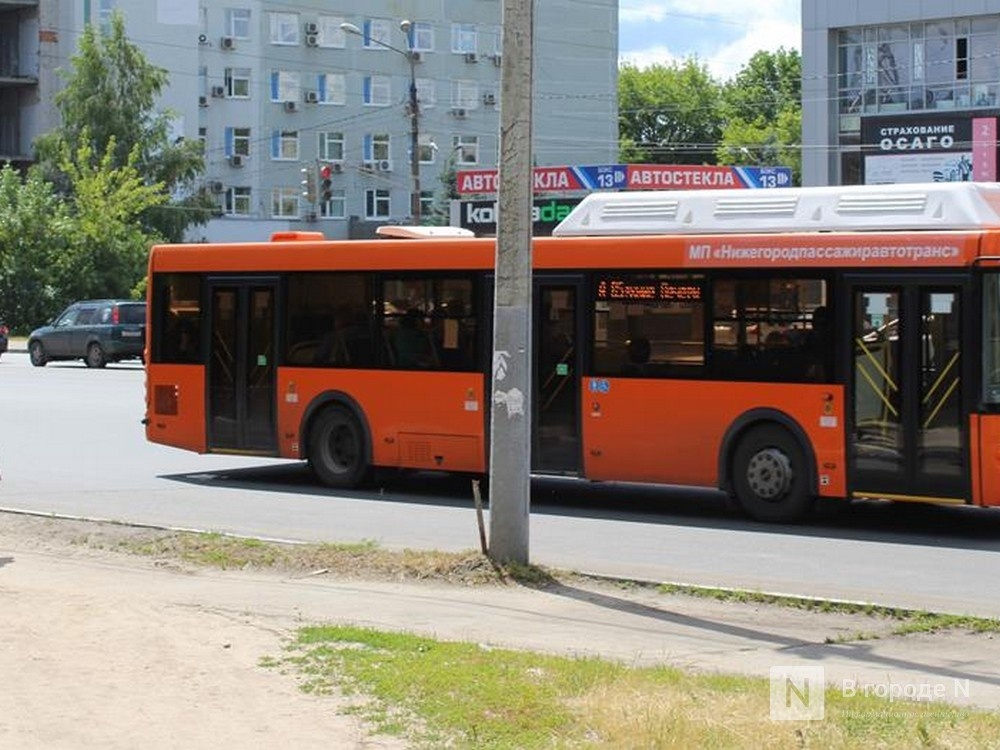 Новый автобусный маршрут планируют запустить для нижегородцев - фото 1