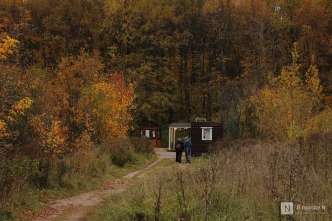 Фоторепортаж: золотая осень в Нижнем Новгороде - фото 7