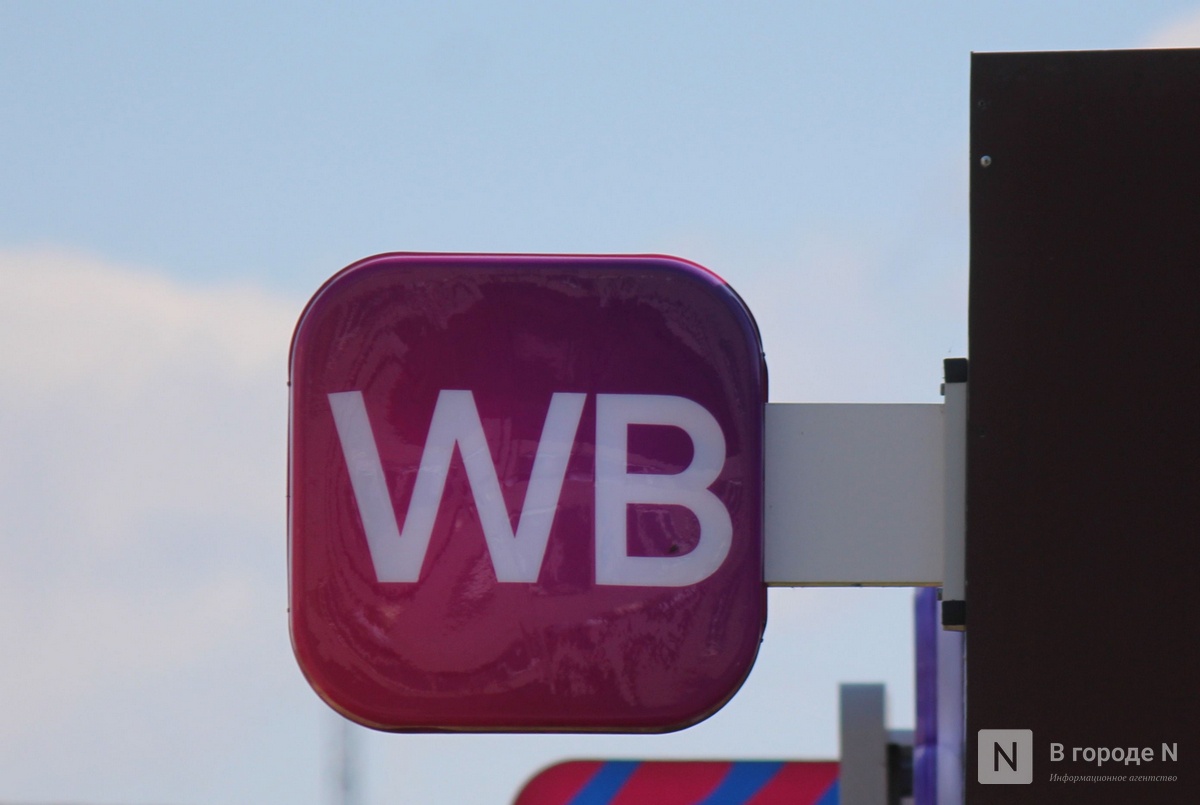 &laquo;Не хотим дышать пылью&raquo;: почему разгорелся скандал вокруг строительства склада Wildberries в Новинках и что будет дальше - фото 2