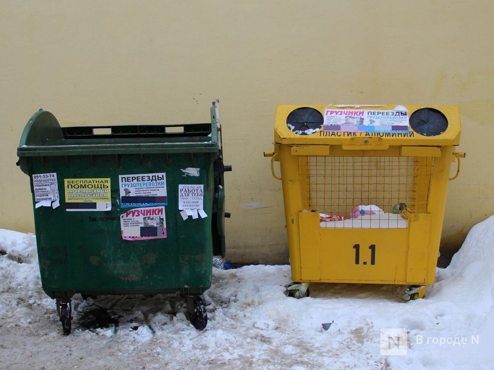 Опасные отходы выбрасывают нижегородцы в контейнеры - фото 1