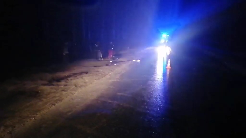 Сбившего насмерть пешехода в Выксунском районе водителя нашли по куску бампера - фото 1
