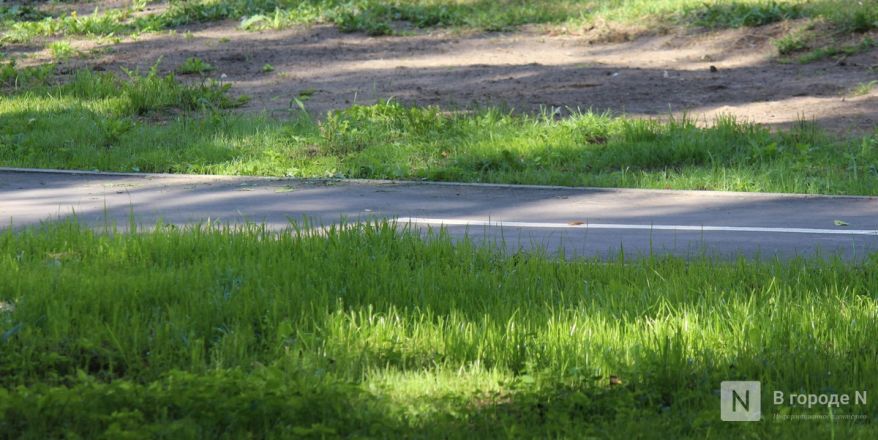 Благоустройство бульвара на проспекте Гагарина завершилось в Нижнем Новгороде - фото 16