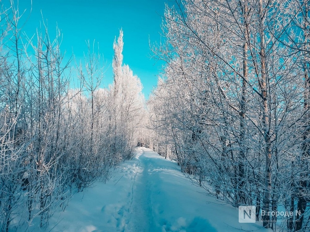 Когда будет потепление в нижнем новгороде. Снег. Н-морозный январь. Утренний снежок 31 декабря. Утренний снежок 31 декабря 2022.