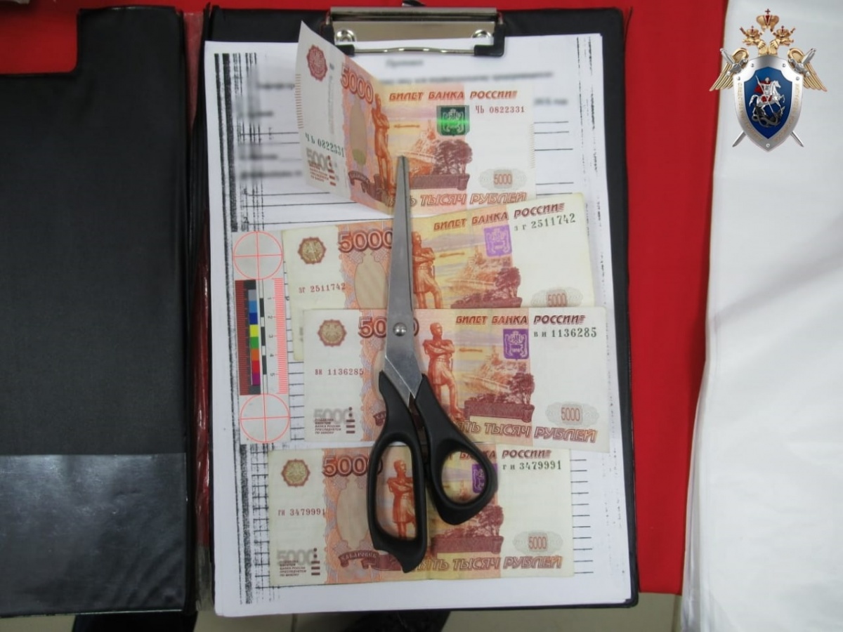 Продавец контрафакта пытался откупиться от полицейского в Арзамасе - фото 1