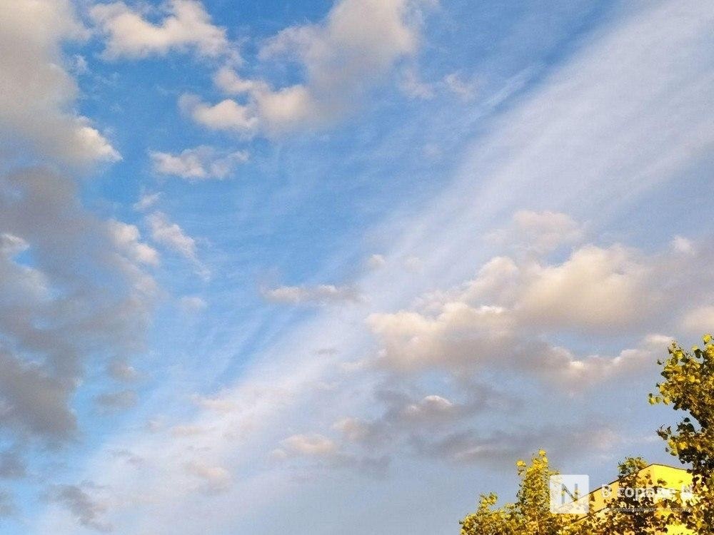 Климатическая адаптация как конкурентное преимущество: Сбер делится опытом на ВЭФ - фото 1