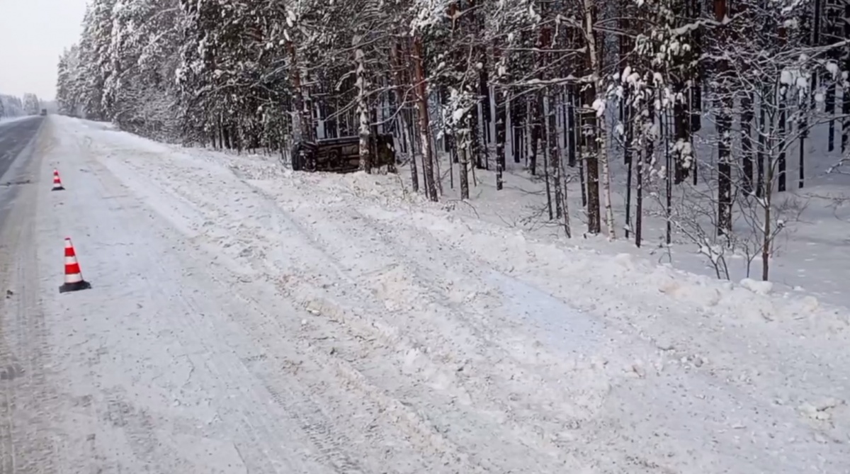 Машина вылетела в кювет и перевернулась в Нижегородской области - фото 1