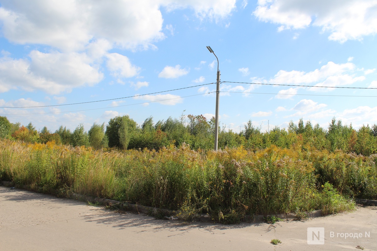 Нижегородцам показали, где будет построен огромный склад Wildberries - фото 1