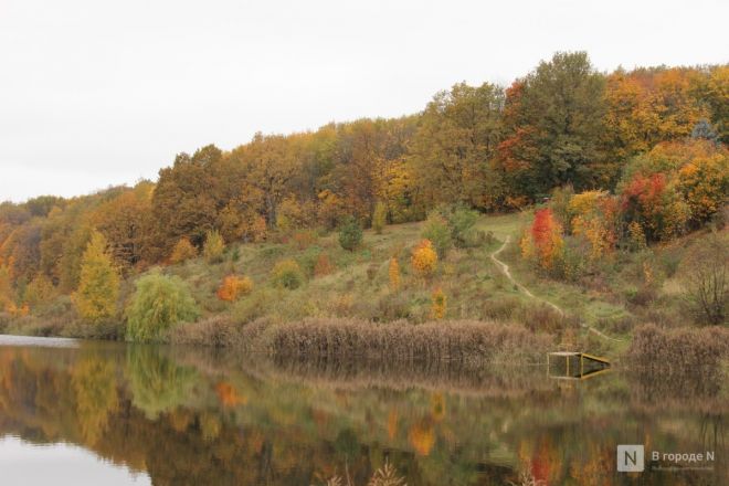 Фоторепортаж: золотая осень в Нижнем Новгороде - фото 9