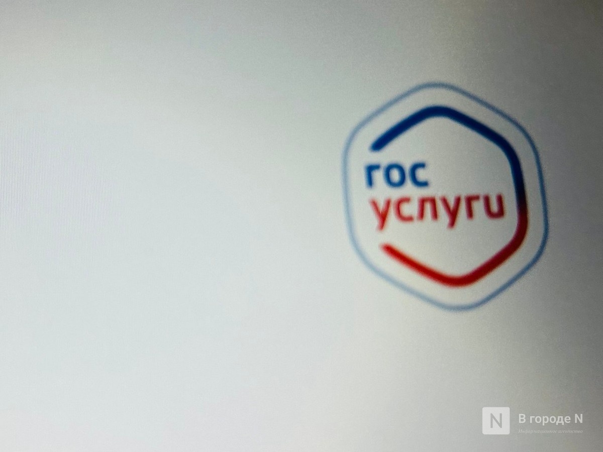 Нижегородцам озвучили порядок получения электронного свидетельства пенсионера - фото 1
